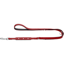 Training Leash Magic Star