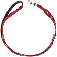 Training Leash Magic Star