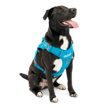 Kurgo Country Harness