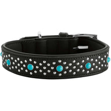 Dog Collar Madona