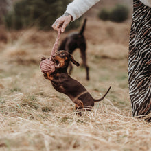 Dog toy Inari