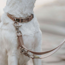 Training leash Inari