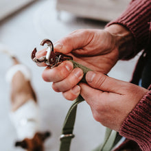 Training leash Inari