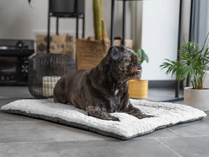 Trendpet Heaven Pléd
