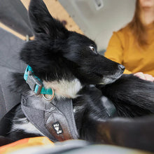 Hurtta Travel Harness ECO