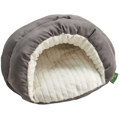 Cat cave Brighton