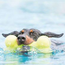 Dog toy KONG® AirDog® Squeaker Bone
