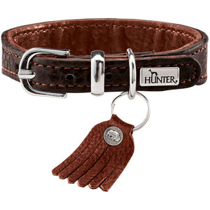 Collar Cody Petit