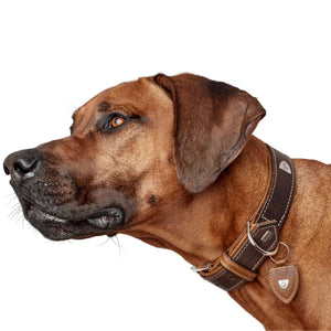 Collar Tara