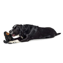 Dog toy Tough Kamerun