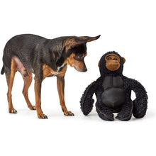 Dog toy Tough Kamerun