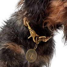 Collar List