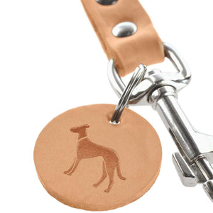 Training Leash