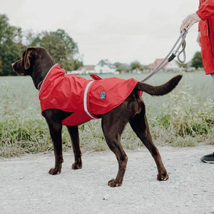 Raincoat for dogs Uppsala Rain