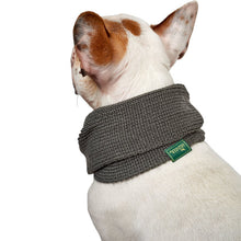 Dog scarf Nancy