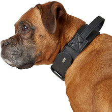 Training collar with handle Larvik