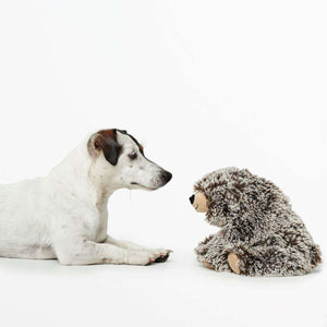Dog toy Faro
