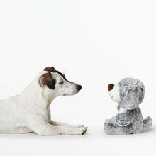 Dog toy Faro