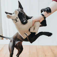 Dog toy Tirana