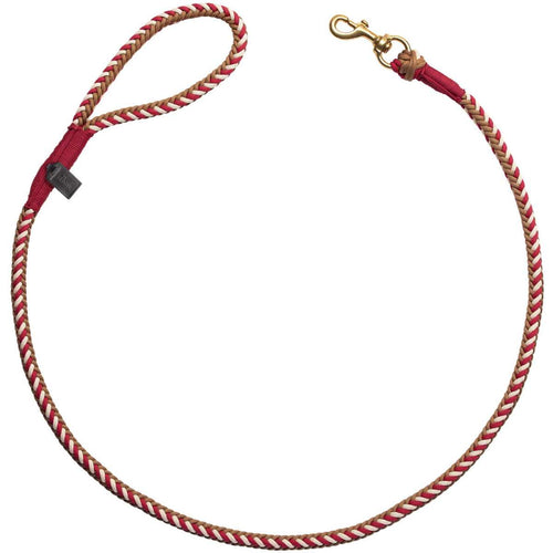 Leash Tinnum