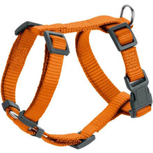 Harness London Vario Rapid