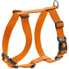 Harness London Vario Rapid