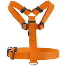 Harness London Vario Rapid