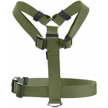 Harness London Vario Rapid