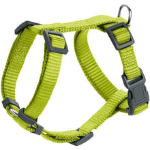 Harness London Vario Rapid