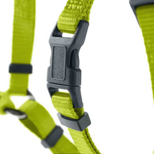 Harness London Vario Rapid