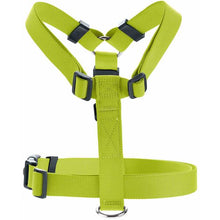 Harness London Vario Rapid