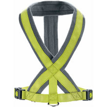 Harness London Comfort