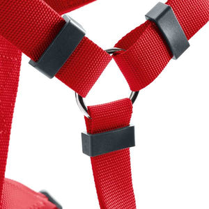 Harness London Vario Rapid