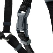 Harness London Vario Rapid