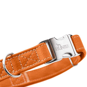 Collar Cannes Alu-Strong