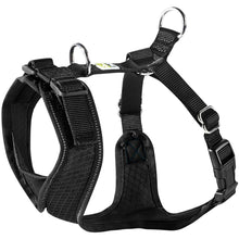 Harness Manoa Vario Rapid