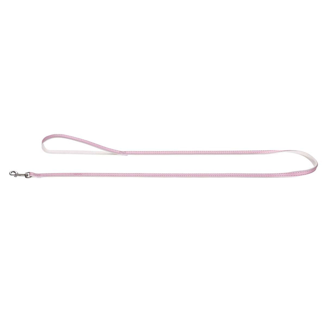 Leash Modern Art