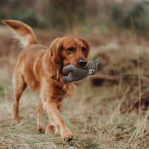 Dog toy Billund