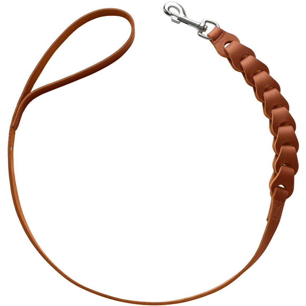 Leash Solid Education Chain