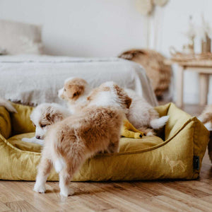 Dog sofa Eiby
