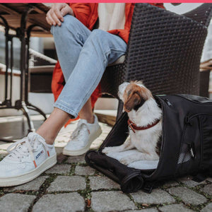 Flight Bag & Backpack Miles