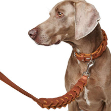 Leash Solid Education Chain