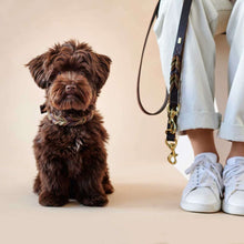 Trainning leash Solid Education Duo