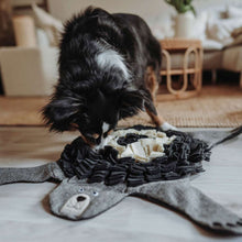 Dog toy Billund
