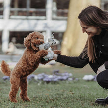 Dog toy Billund