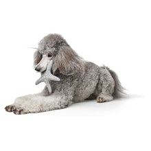 Dog toy Skagen