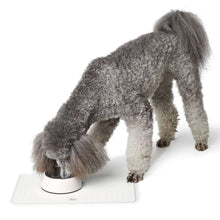 Food bowl base Selection foldable